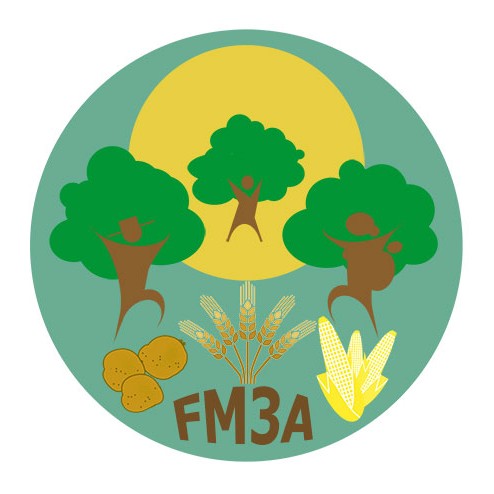 FM3A